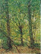 Vincent Van Gogh Trees and Undergrowth Germany oil painting artist